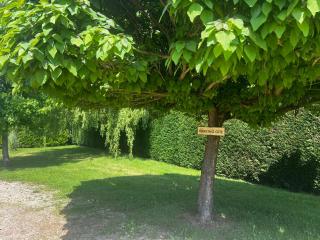 La Ferme du Tilleul - 7