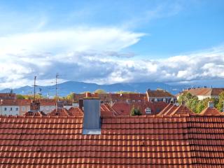 Magnifique Appartement Mulhouse Stationnement Gratuit - 8