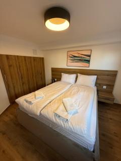 Nivalis Hill A01A - 1