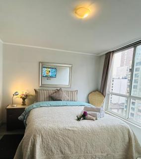 A8Metro Santa Lucía, Casco histórico - 8