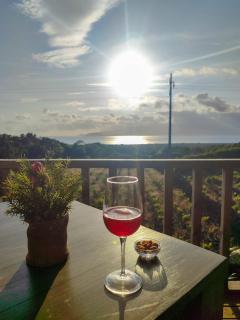 AL Novavista by A5P - 1