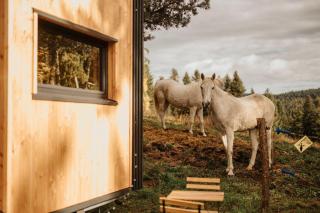 Refuge panoramique en Haute-Loire - 7