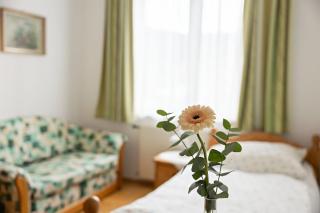 Frühstückspension Rottensteiner - 2