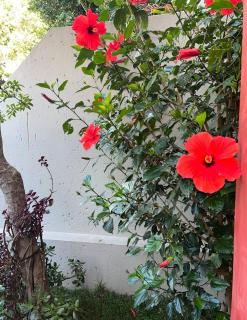 Contemporary living at UrbanZen Stays - 7