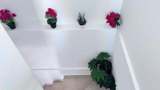 Little Home in the Heart of Olhão - 0