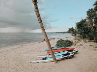 BT Homes - Tankah Beachfront - Tulum - 6