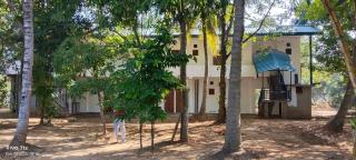 The Mammoth udawalawe - 1