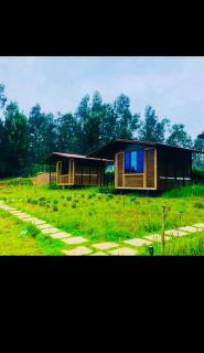 Kodai Horse Private Gardens - 7