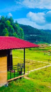 Kodai Horse Private Gardens - 6