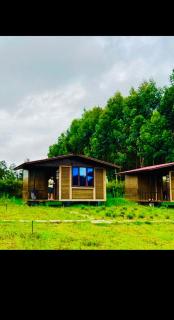 Kodai Horse Private Gardens - 5