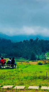 Kodai Horse Private Gardens - 4