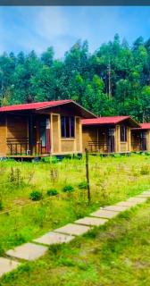 Kodai Horse Private Gardens - 2