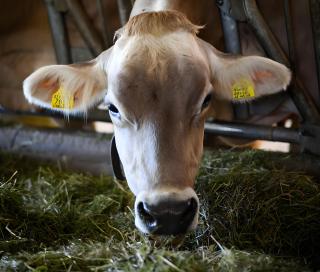 Appartements Obermairhof - 2