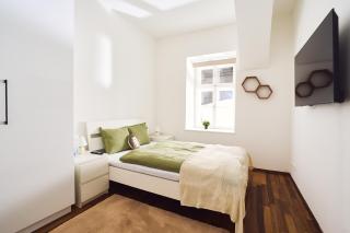 Pristine 2BD Apartment in Central Vienna Walking Distance to 1 District - 6