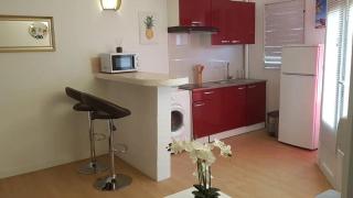 Studio confortable à Les Trois-Îlets, 25 m² avec terrasse - 4