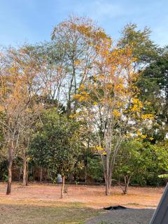 Chale Blue Lodge - 6