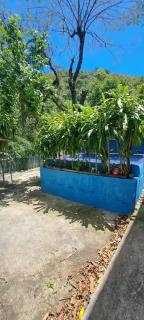 Nature and Comfort in Rio - 6