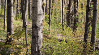 Red Creek Acres - Brand New Cooperstown Home - 4