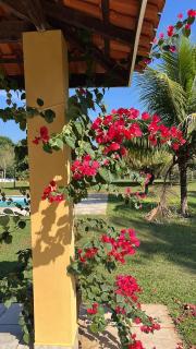 Chale Blue Lodge - 9