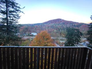 Montis View Sinaia - 8