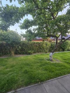 Guesthouse Near Nature & Shops - 4