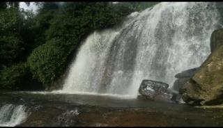Munnar Wood valley - 2