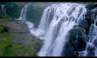 Munnar Wood valley - 4