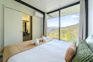 Sorte das Gestacas by House and People - 8