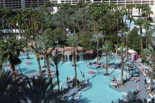Flamingo, Hilton Grand Vacations Club, F1 Availability - 2