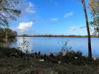 Studio Dépendance du Château - Kitchenette - 1