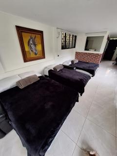 Backyard loft in the heart of the forest - 2