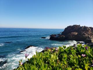 Departamento Reñaca - 1