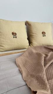 Matuê 2 seu aconchego em Pomerode - 4