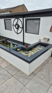 Chapel Point Holiday Lets - 8