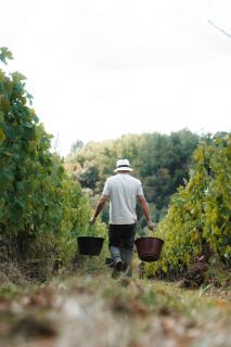 Gîte Clusel-Roch 6 personnes au cœur des Côte-Rôtie - 4