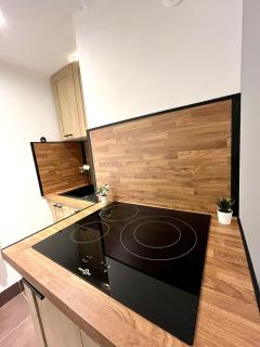 T3 urbain à 15 min de Lyon - 1