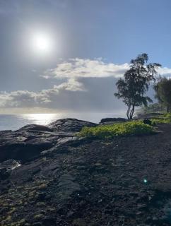 Malalani by the Ocean - 4