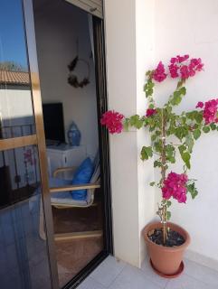 Apartamento Puerta Grana Priego. - 9