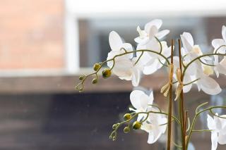 Wivelsfield Retreat- Modern & Spacious Home - 5