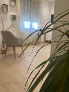 DalGra room e garden - 6