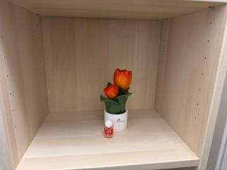 Casa vacanze Il Tulipano - 1