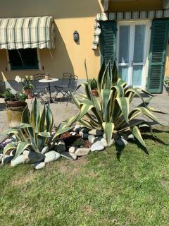 La casa di nonna Rosmi - 2