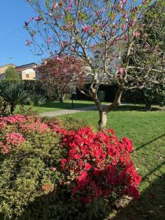 La casa di nonna Rosmi - 7