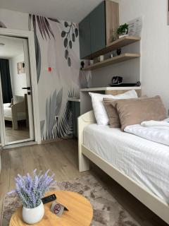 Apartments HAN 2 Sarajevo - 9