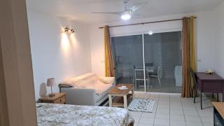 Rêve Créole, accès plage et piscine - 6