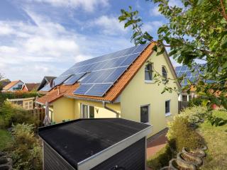 Windflüchter rechts - 7