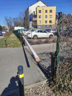 Mallorca Vibe Apartment - 1