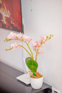 Serene Self Check-In 1B Next to Two Rivers - 3