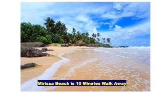 Noahs Ark Oceanscape Mirissa - 5