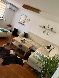 Elephant House-Sd - 4